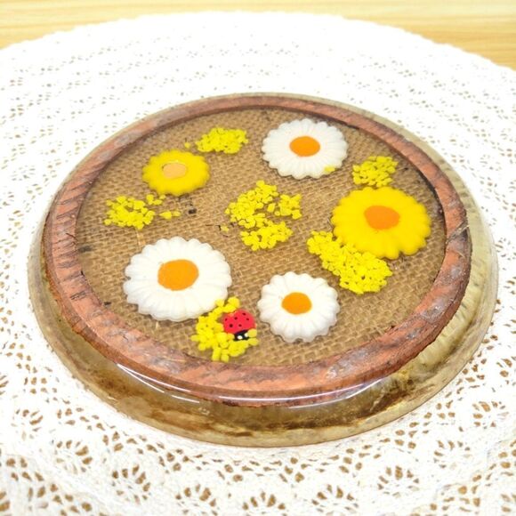 Vintage Lucite Daisy & Ladybug Floral Trivet - Picture 1 of 12
